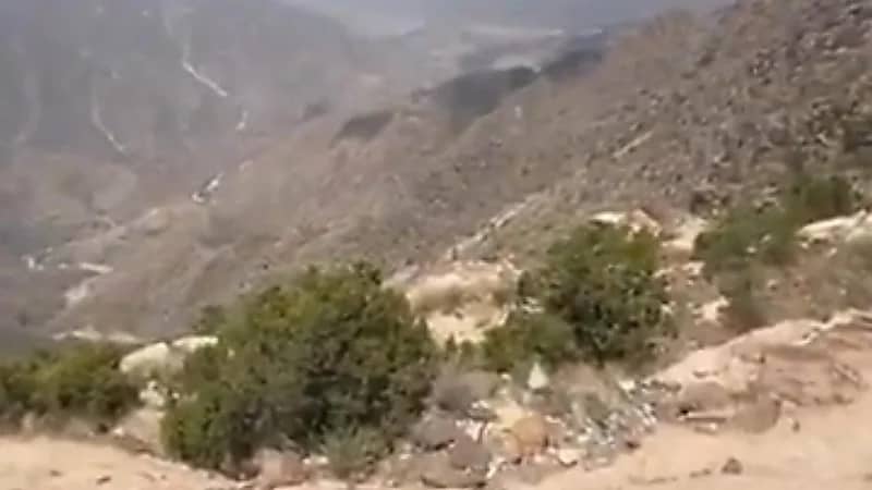 الحصيني يوضح أفضل وقت لزيارة مرتفعات عسير وجازان والباحة