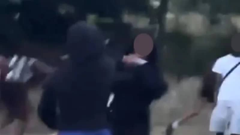 مسلحة تثير الرعب في متنزه بلندن وتختفي قبل تدخل الشرطة .. فيديو