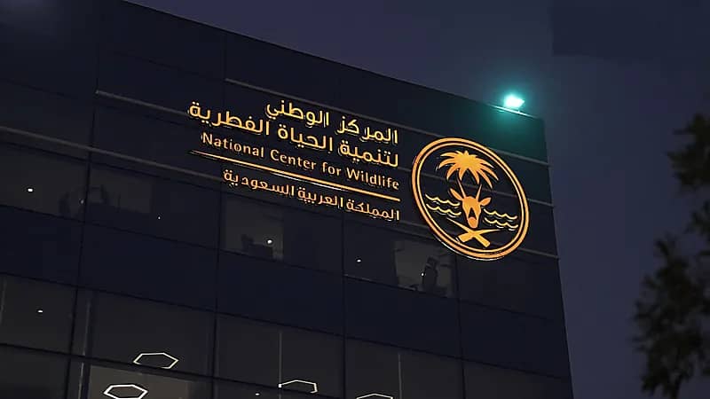 الحياة الفطرية تعالج انتشار قرود البابون بالرياض وتحذر من اقتنائها