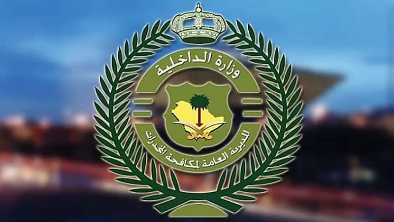 القبض على مروجين لمواد مخدرة في عدة مناطق .. فيديو