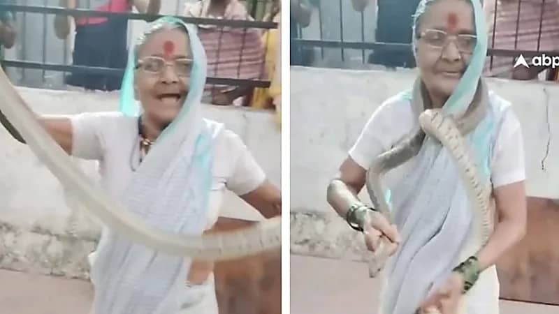 فيديو صادم لمسنة هندية تداعب ثعبانًا بثقة مدهشة .. فيديو