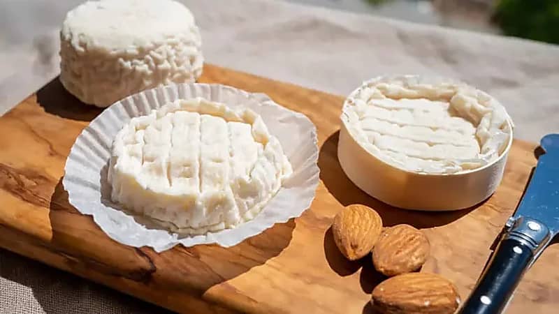 فرنسا: الليستيريا تودي بحياة شخصين وتُصيب 21 آخرين والجبن تحت المجهر