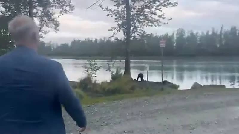 مبعوث روسي يتفاءل بنتائج قمة ألاسكا بعد رصده دبًا بنيًا ..فيديو