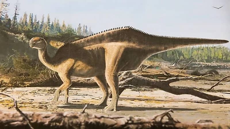 اكتشاف نوع جديد من الديناصورات العملاقة