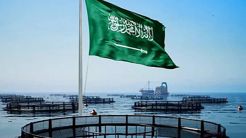 الرياض تتصدر مشروعات الاستزراع السمكي في المملكة