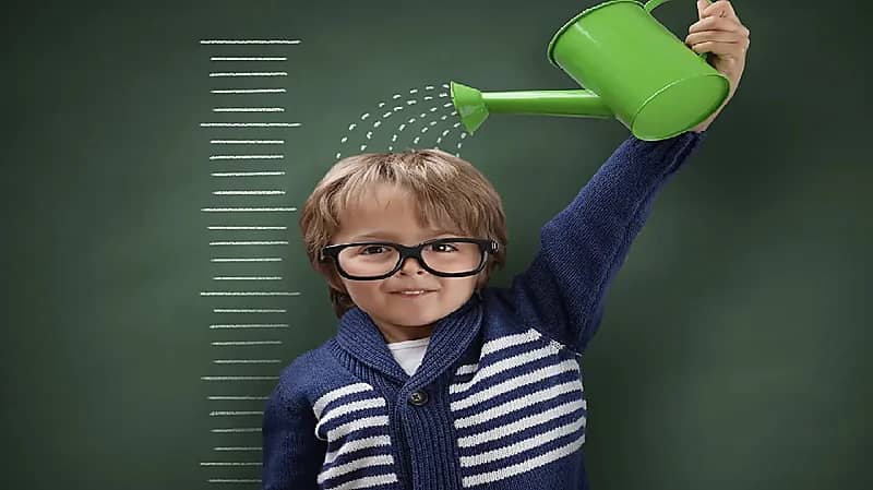 WhatsApp Image 2025-09-06 at 6.46.45 PM.jpeg