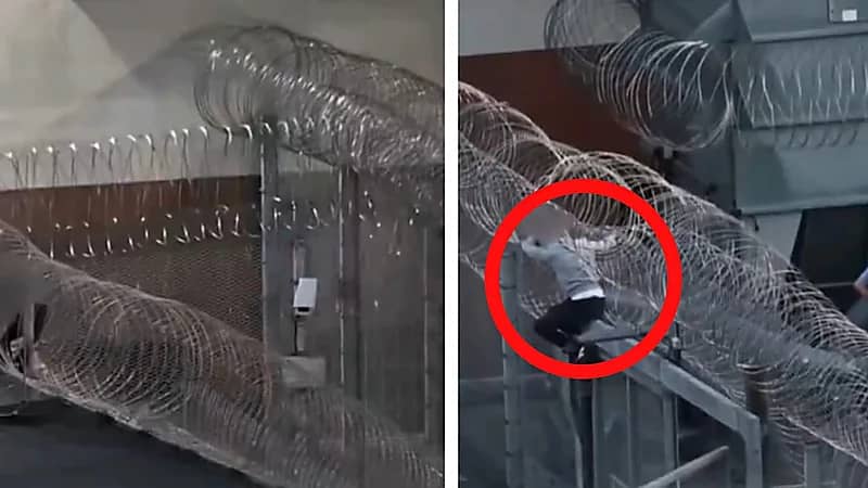 WhatsApp Image 2025-09-08 at 4.27.35 PM.jpeg