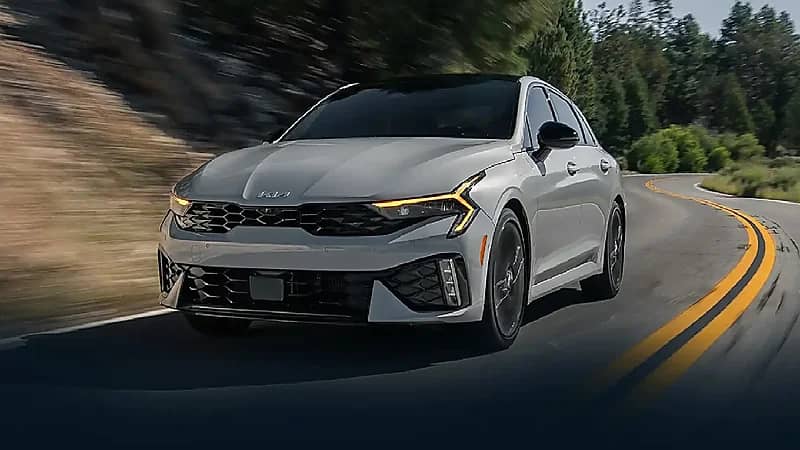 WhatsApp Image 2025-09-13 at 5.59.31 PM.jpeg