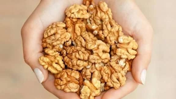 WhatsApp Image 2025-09-16 at 9.50.22 AM (1).jpeg