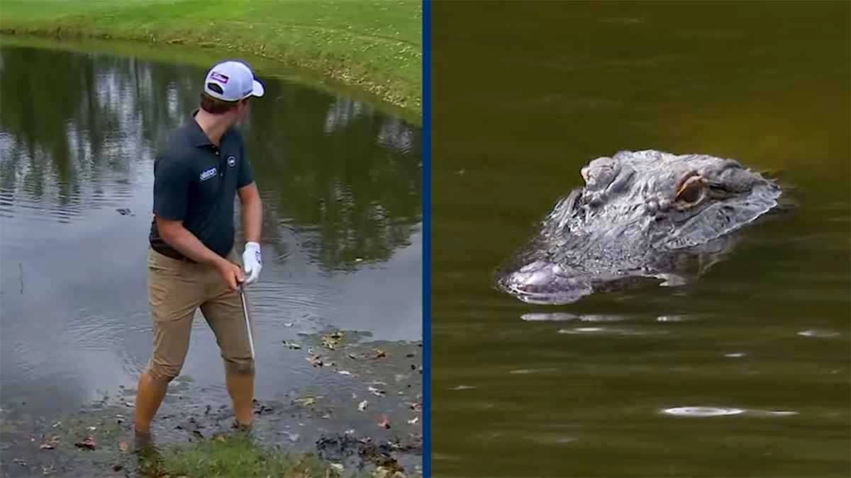 WhatsApp Image 2025-10-07 at 5.24.46 PM.jpeg