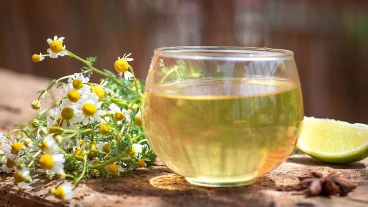 WhatsApp Image 2025-10-24 at 12.52.59 PM.jpeg