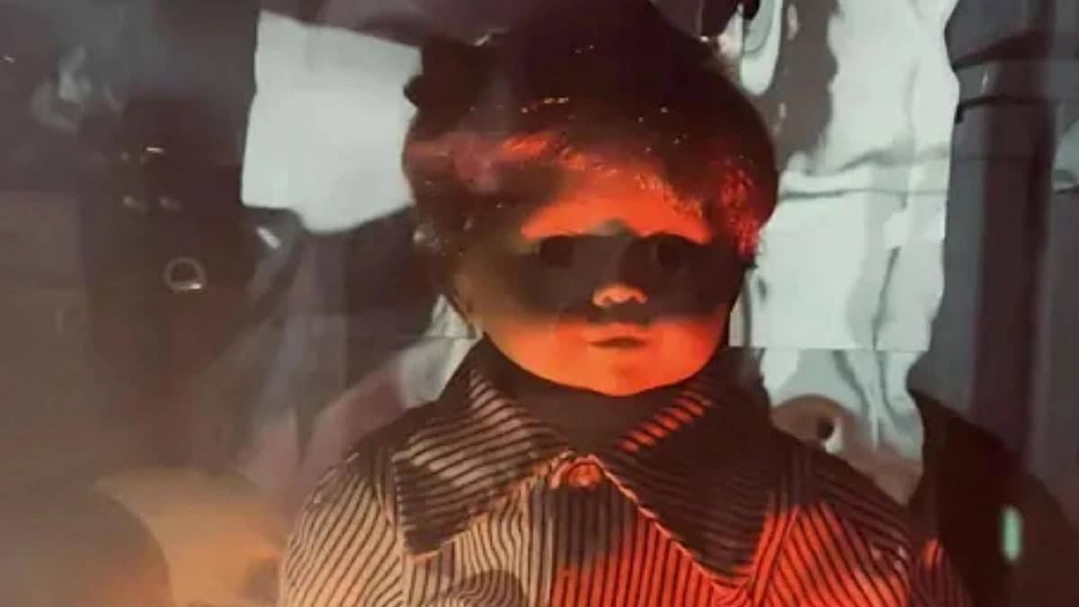 WhatsApp Image 2025-10-24 at 2.30.48 PM.jpeg