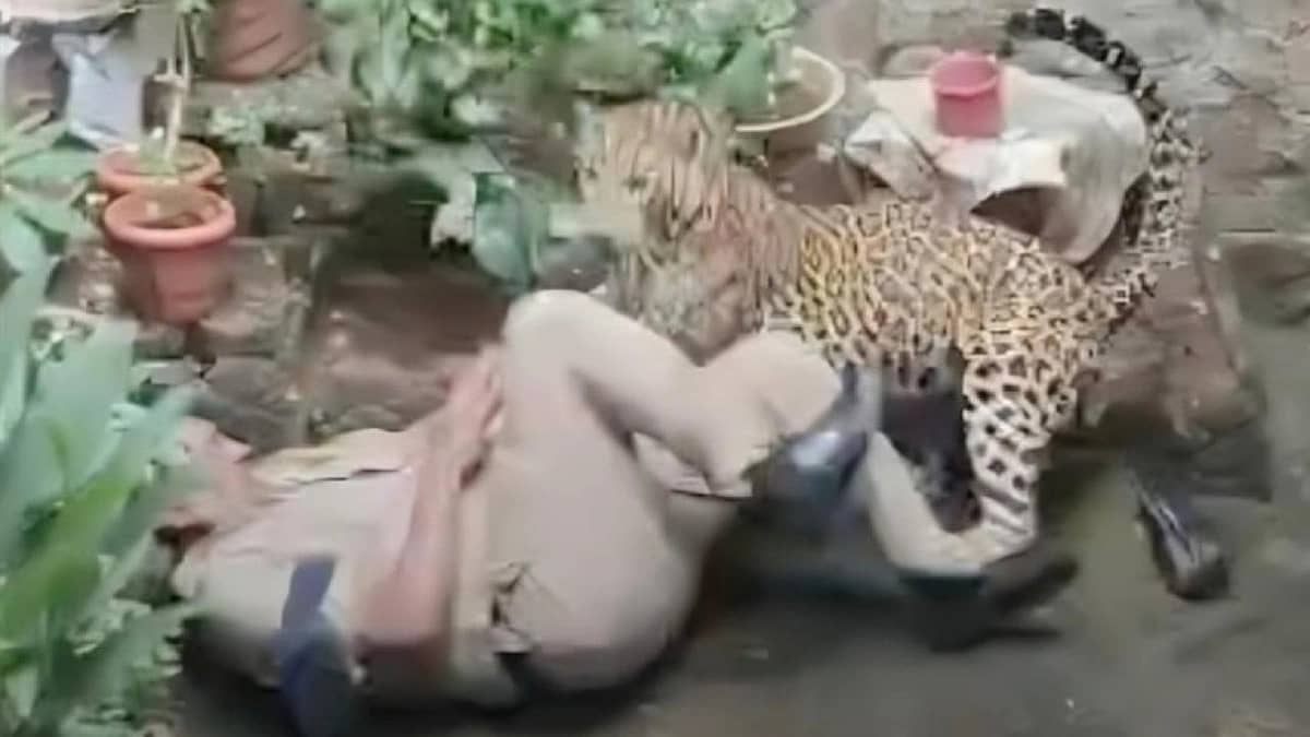 مشهد مروع يظهر لحظة هجوم فهد على شرطيين.. فيديو