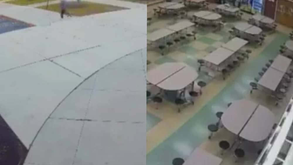 WhatsApp Image 2025-11-17 at 1.35.57 PM.jpeg