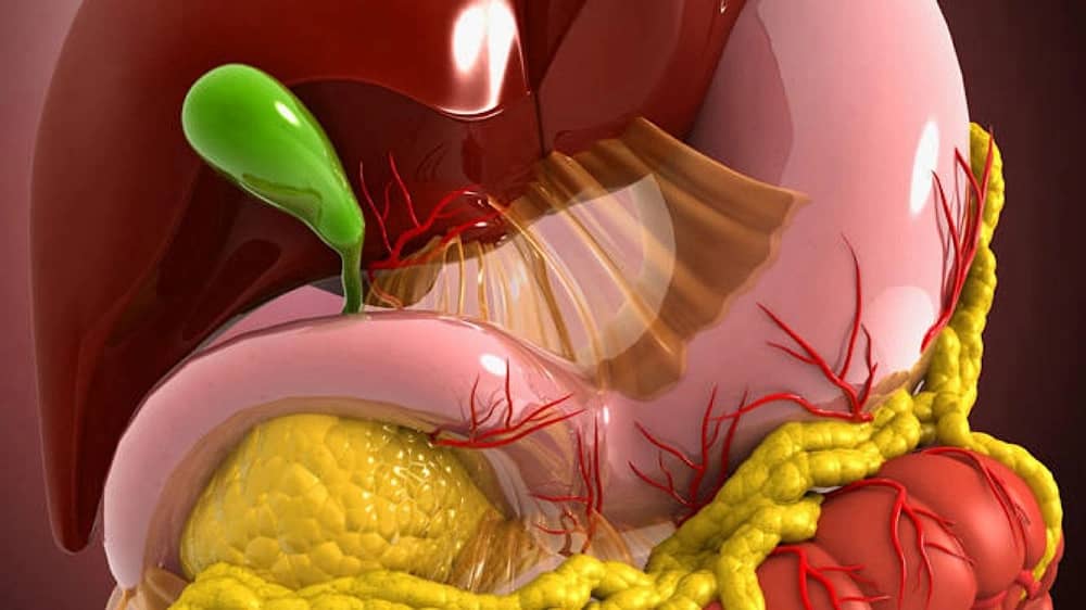 WhatsApp Image 2025-11-21 at 11.33.49 AM.jpeg