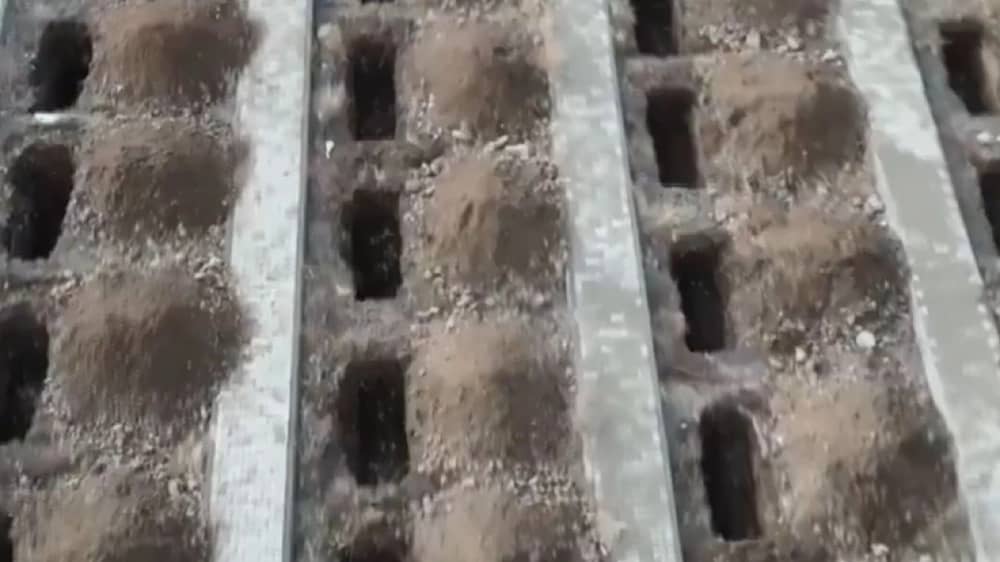 WhatsApp Image 2025-11-21 at 9.30.31 PM.jpeg