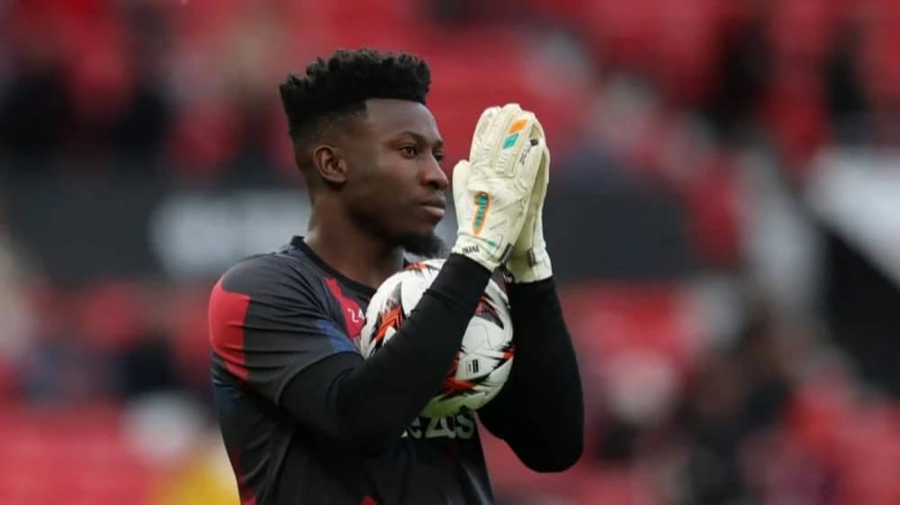 WhatsApp Image 2025-12-02 at 2.23.24 AM.jpeg