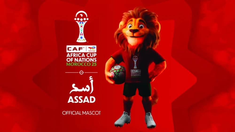 WhatsApp Image 2025-12-08 at 4.16.39 PM.jpeg