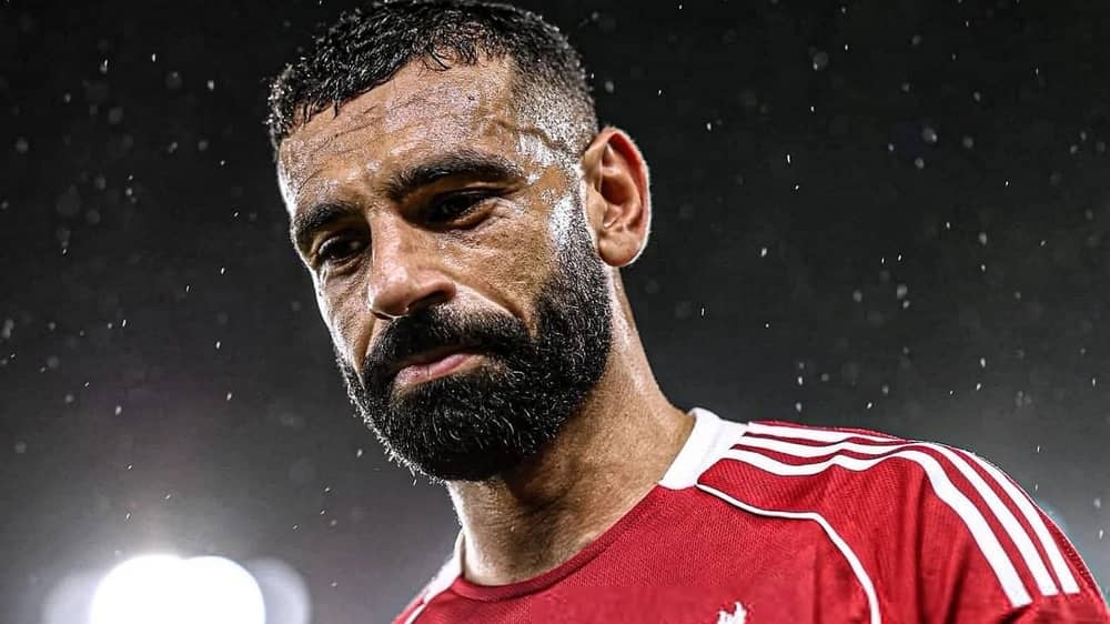 WhatsApp Image 2025-12-12 at 9.04.07 PM.jpeg