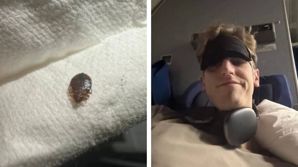 مسافر يتفاجأ ببق الفراش على مقعده أثناء الرحلة .. فيديو