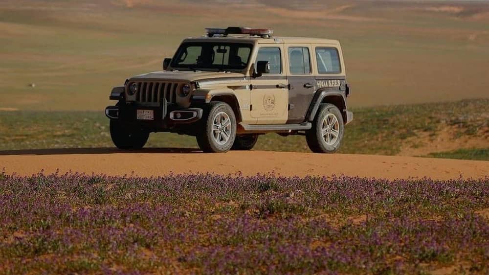 WhatsApp Image 2025-12-26 at 3.26.25 PM.jpeg