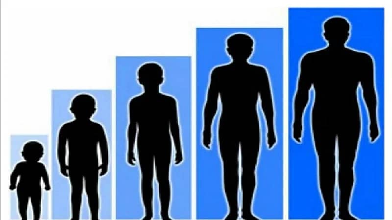الخبراء يكشفون سبب قصر قامات البشر مع مرور الزمن