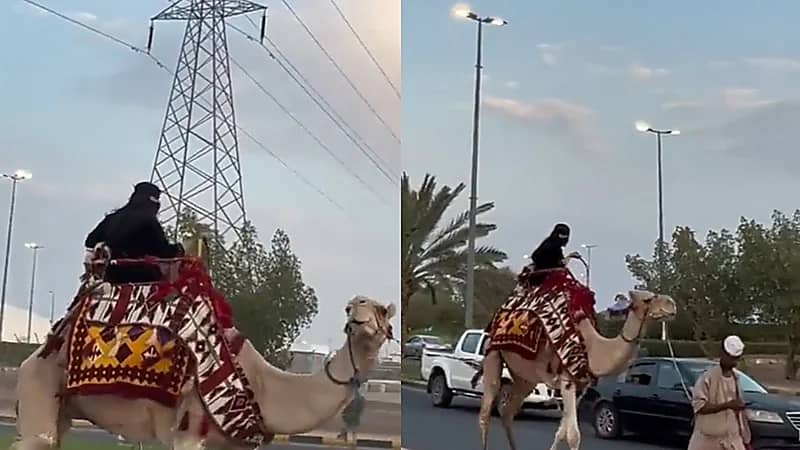 فيديو.. لحظة وصول الرحالة رشا القرشي للمدينة على ظهر ناقة