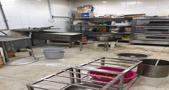 بالصور.. استبعاد 12 عامل مخالف بمنشآت في الرياض.. وإزالة 3809 موقع مخالف