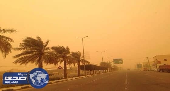 الأرصاد: استمرار هطول أمطار غزيرة مصحوبة برياح تحد من الرؤية على عدة مناطق