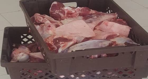 بالصور.. إغلاق ملحمة مخالفة للاشتراطات الصحية في نجران