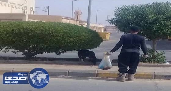بالصور.. حملة لتسميم الكلاب الضالة بعد فتوى بجواز قتل المؤذية في العويقيلة