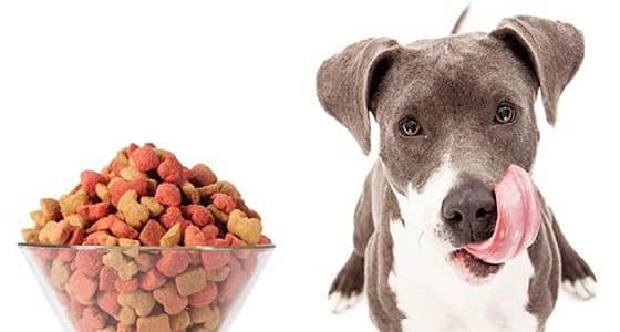 اكتشاف مادة سامة في الأطعمة المعلبة تسبب الموت للحيوانات