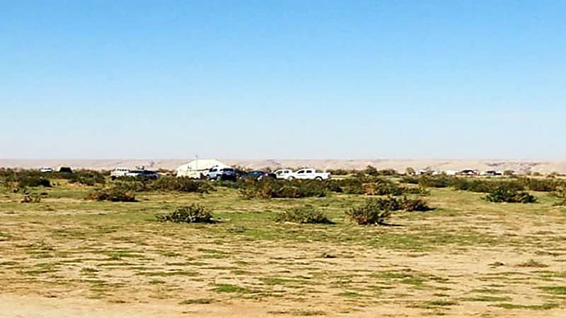 بالفيديو.. "الزعاق" يكشف بداية موسم "عقرب الدسم" وأهم ملامحه