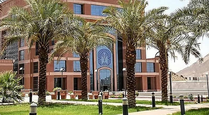 جامعة طيبة تفتح القبول في برنامج تجسير البكالوريوس في الصيدلة