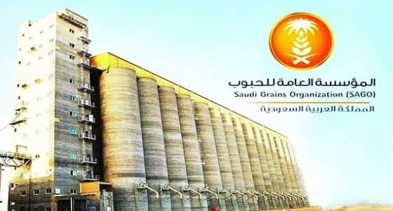 مؤسسة الحبوب تنهي ترسية الدفعة الأولى من الشعير العلفي المستورد لهذا العام