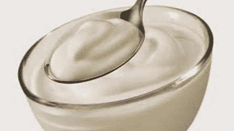 "الذيابي": الأجبان السائلة غير صحية بسبب مكوناتها