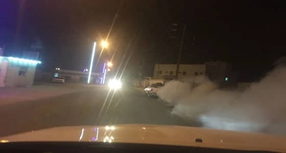 " بلدية الحازمي " في بيشة تنفذ حملة مكثفة لمكافحة الآفات والحشرات