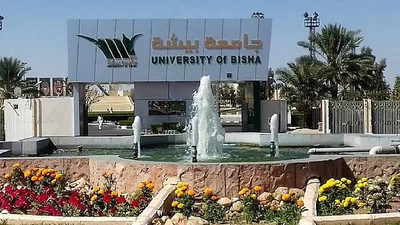 وظائف شاغرة في جامعة بيشة