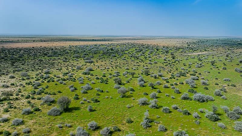 ضبط 4 مخالفين لقيامهم بالصيد بأماكن محظور الصيد فيها بمحمية الملك عبدالعزيز الملكية