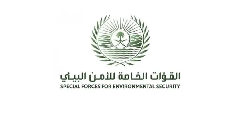 القبض على مخالفين يقطعون الأشجار لتحويلها إلى فحم بجدة