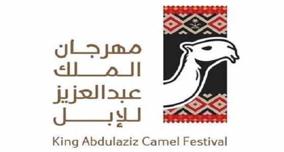 إدارة مهرجان الإبل توضح طريقة اختيار لجنة التحكيم