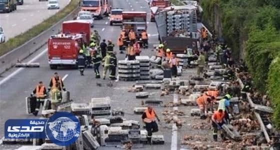 الدجاج يعطل حركة السير على الطريق السريع في النمسا