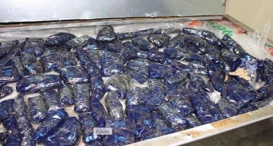 " الأمن المصري " يحبط محاولة تهريب مخدرات للمملكة