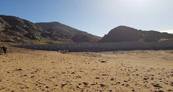 بالصور.. أمانة المدينة تزيل اعتدائين ببلدية المندسة