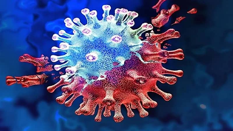 علماء يكتشفون جينًا يتسبب في مضاعفة مخاطر كورونا