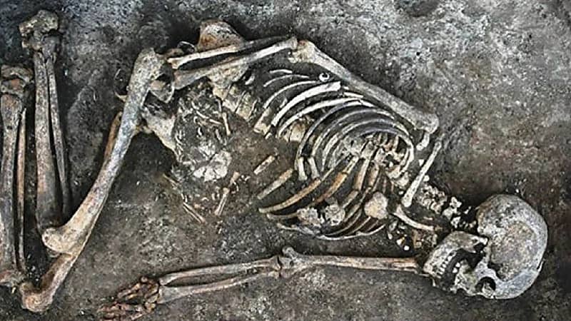 العثور على هيكل عظمي لفتاة مقتولة في منزل أسرتها