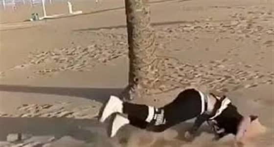 بالفيديو.. سقوط مروع لشاب حاول استعراض مهارته بالقفز