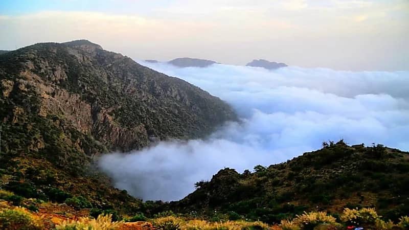 بالفيديو.. "الزعاق" يوضح سبب تسمية جبل "السودة" بهذا الاسم