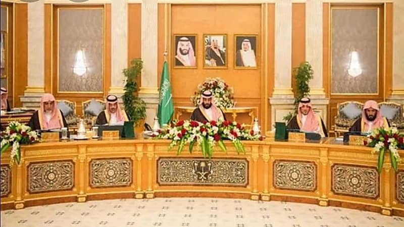 تفاصيل قرار السماح للجهات الحكومية باستخدام المشاركة في الدخل