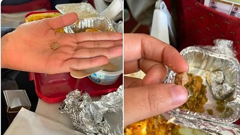 شاهد.. راكبة تعثر على حجر في وجبتها على متن الطائرة